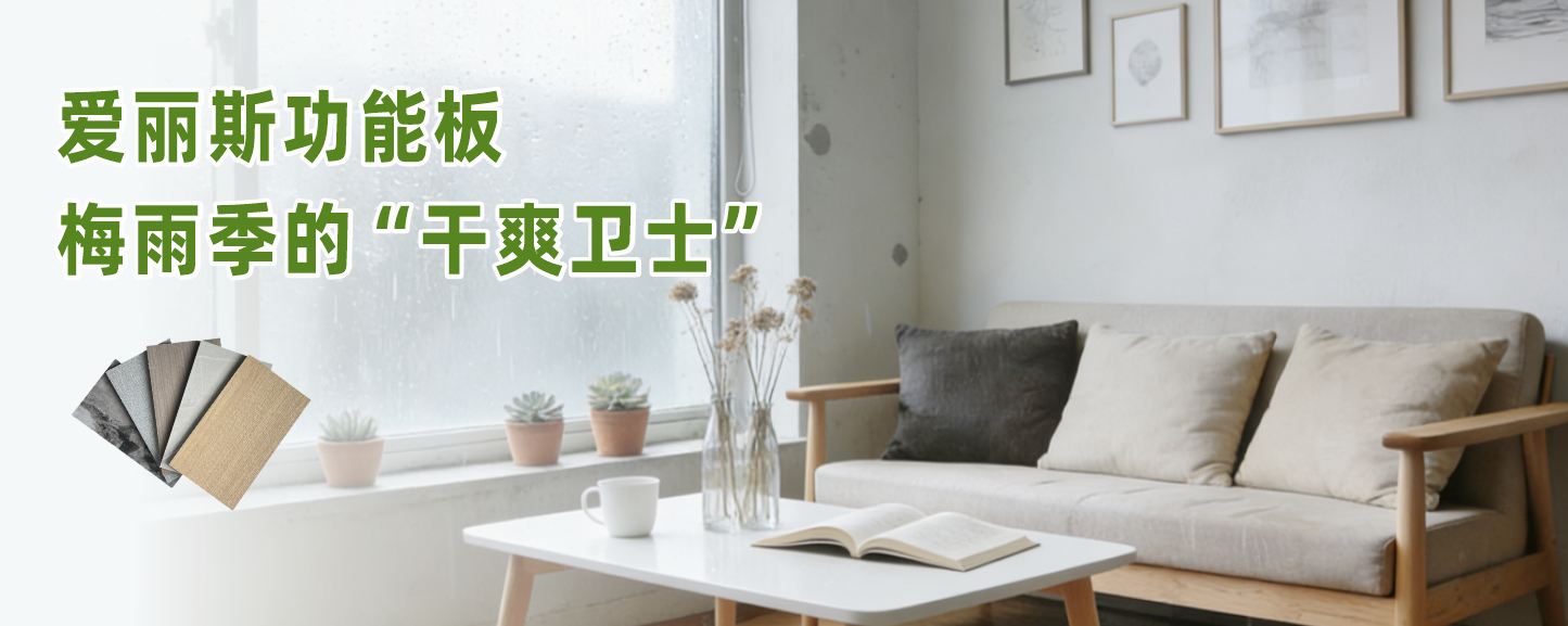 Don't worry about the rainy season anymore. The Alisi Function Board helps your home bid farewell to the troubles of dampness!